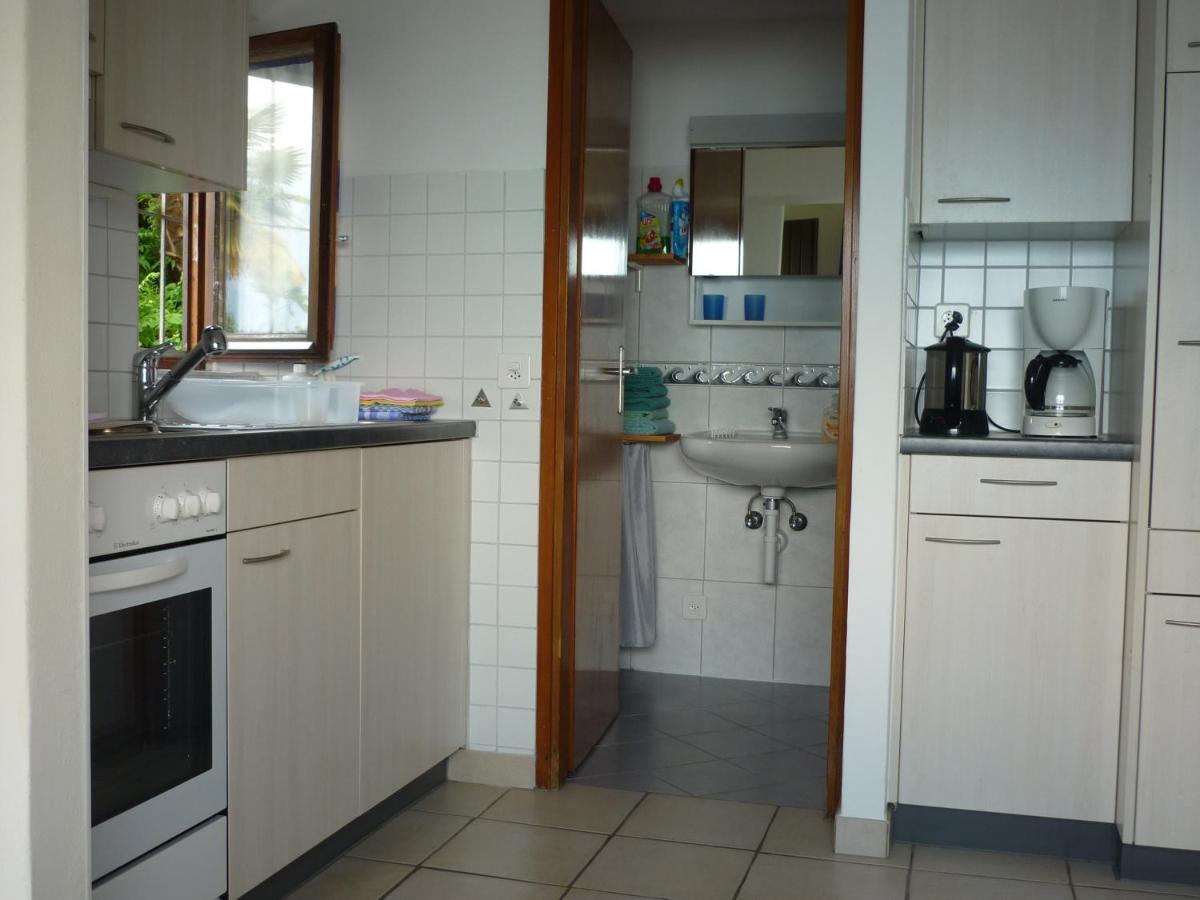 דירות Gambarogno Casa Petra 1 1/2 Zi, Orgnana 83 מראה חיצוני תמונה